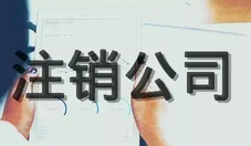 法人可以申請(qǐng)注銷公司嗎？