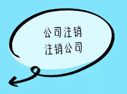 網(wǎng)上可以異地注銷公司嗎？